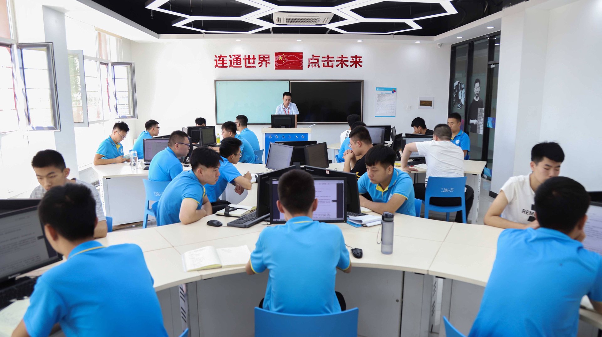站群程序市场动态一览